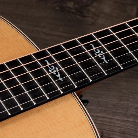 2024年の新アコースティックギター | Taylor Guitars